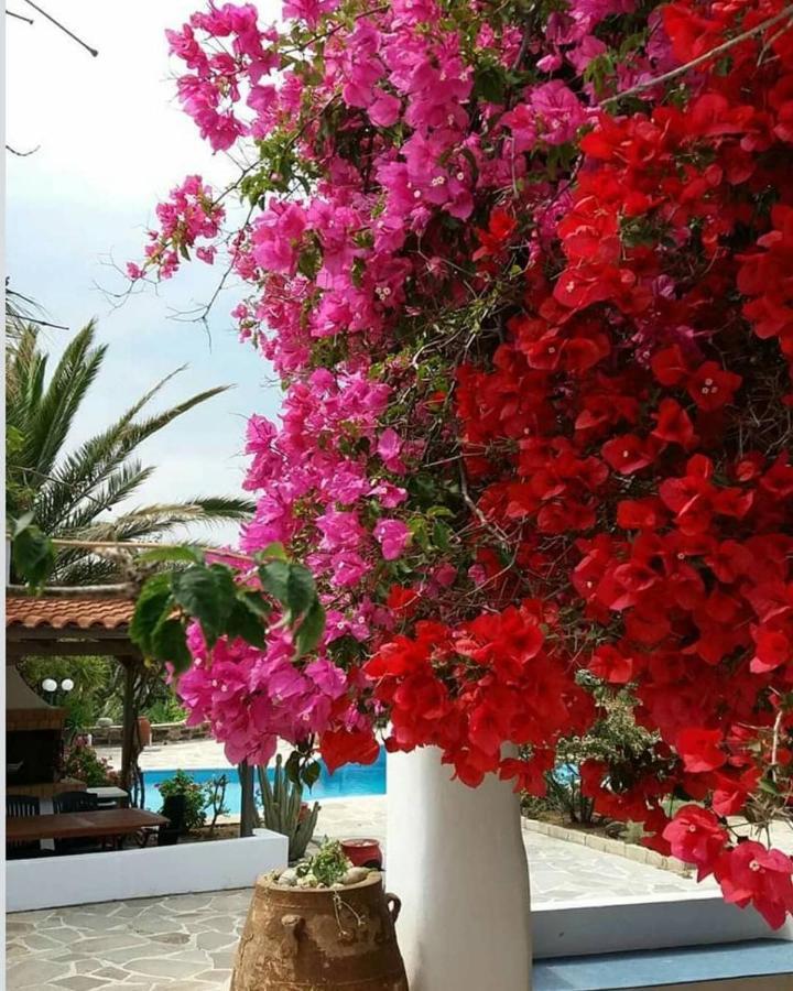 Villa Pari Manda Agios Prokopios  Buitenkant foto