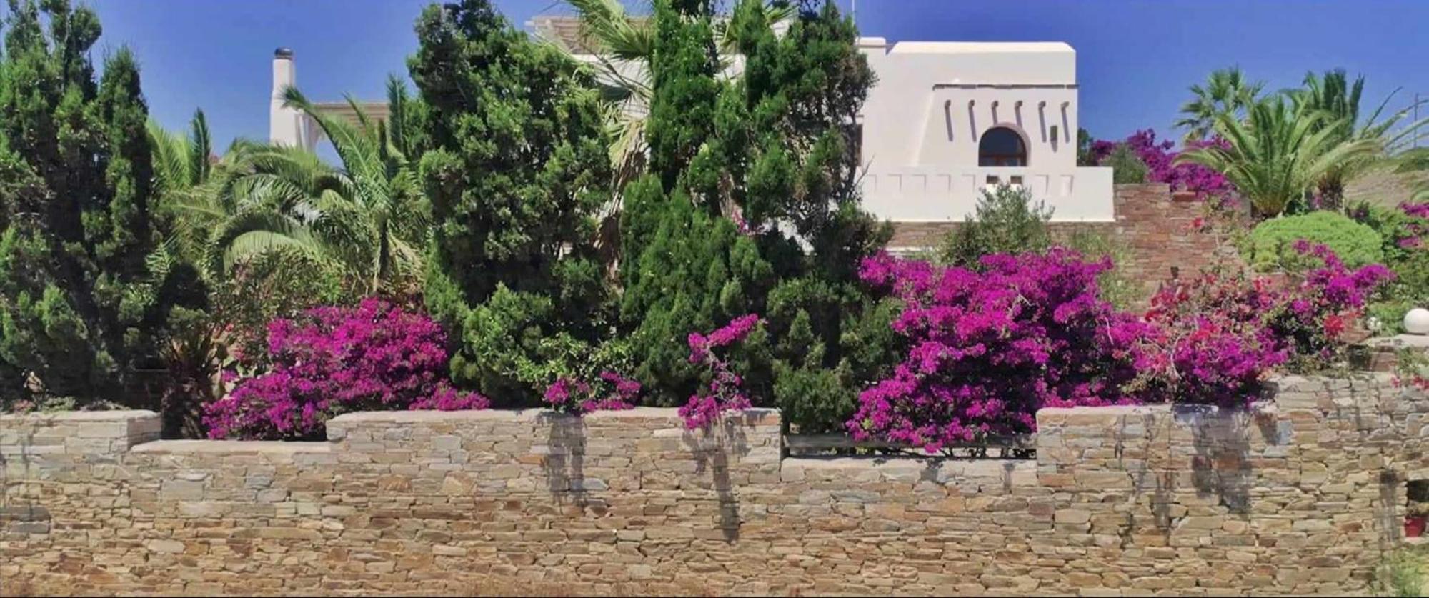 Villa Pari Manda Agios Prokopios  Buitenkant foto